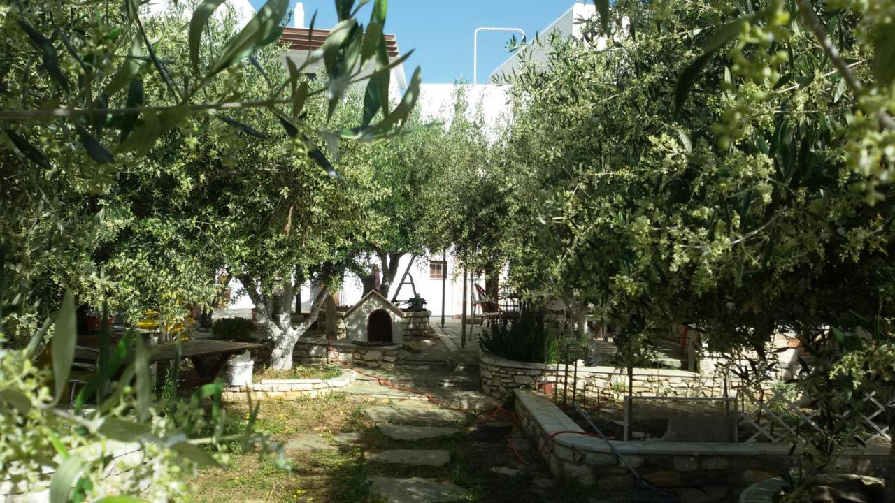 Sunset Studios And Apartments For Adults Over 21 Only ناوسا المظهر الخارجي الصورة