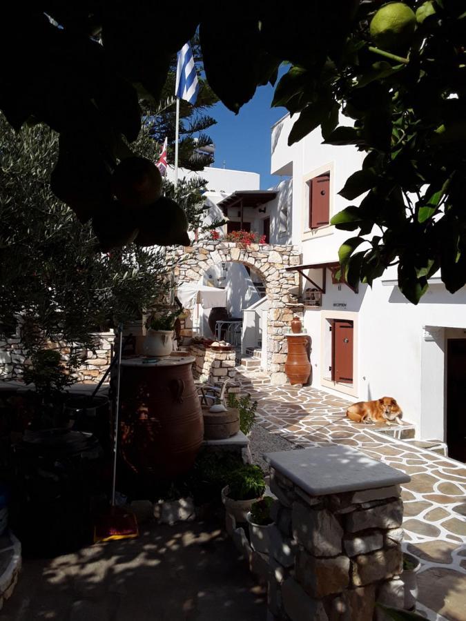 Sunset Studios And Apartments For Adults Over 21 Only ناوسا المظهر الخارجي الصورة