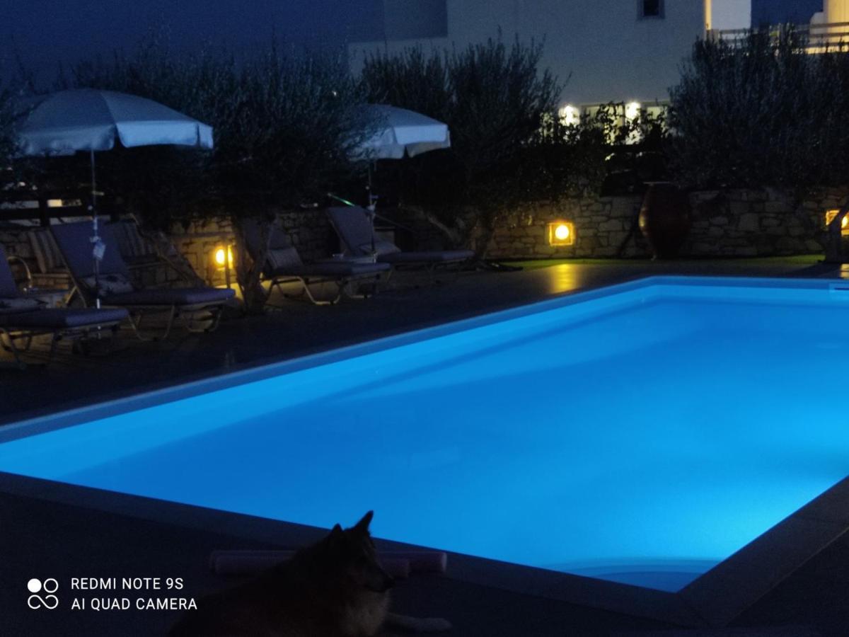 Sunset Studios And Apartments For Adults Over 21 Only ناوسا المظهر الخارجي الصورة