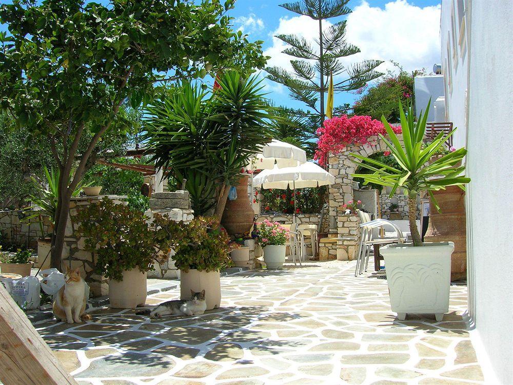 Sunset Studios And Apartments For Adults Over 21 Only ناوسا المظهر الخارجي الصورة